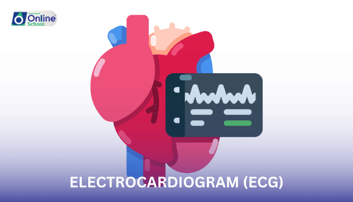 Lesson 06: Electrocardiogram (ECG)